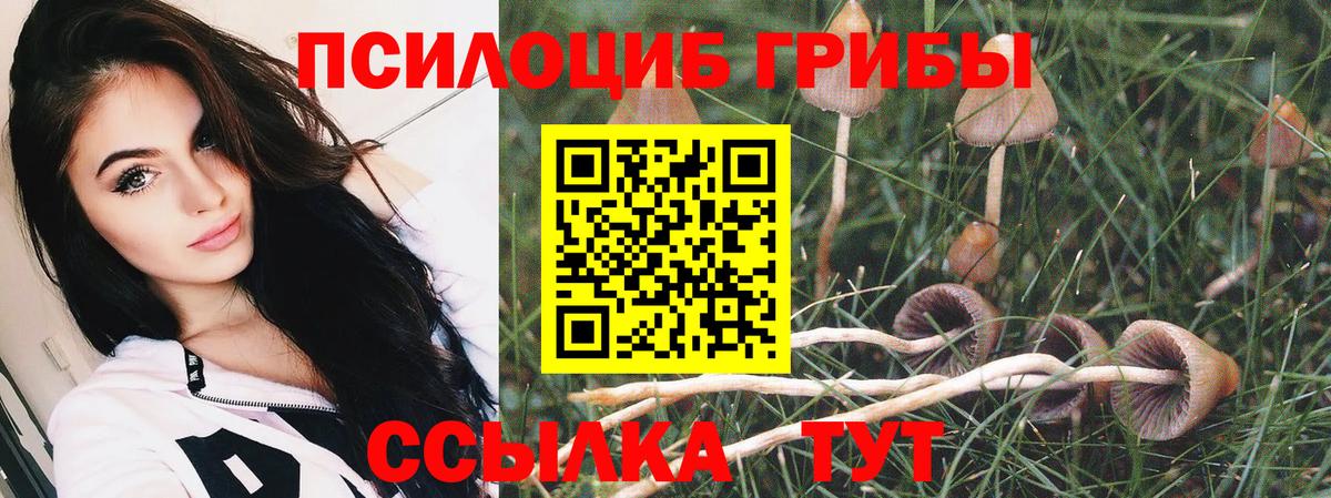 Псилоцибиновые грибы Cubensis  Вход с VPN  Орехово-Зуево 
